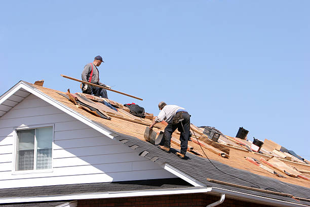 Best Emergency Roof Repair Services  in Bowling Green, OH